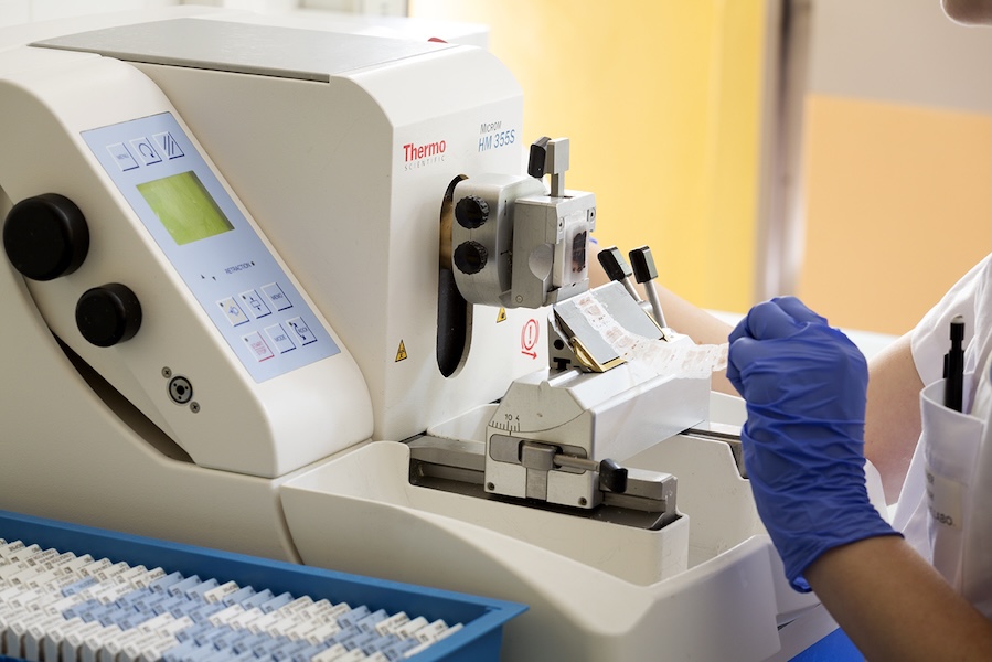 FinaTray system operating for organized tissue block handling
